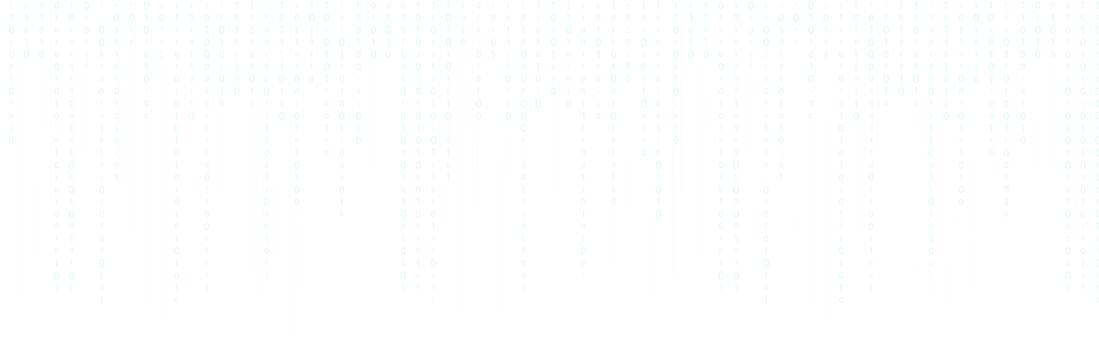 Senior {Full Stack}Web developer